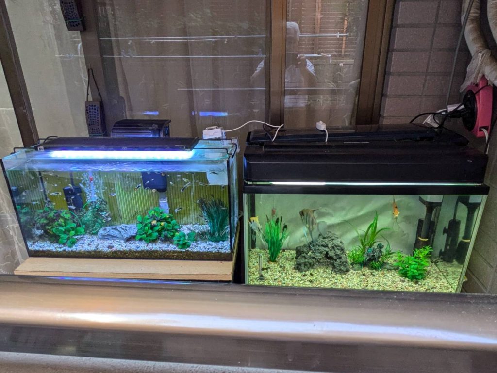 暑さに耐えて、