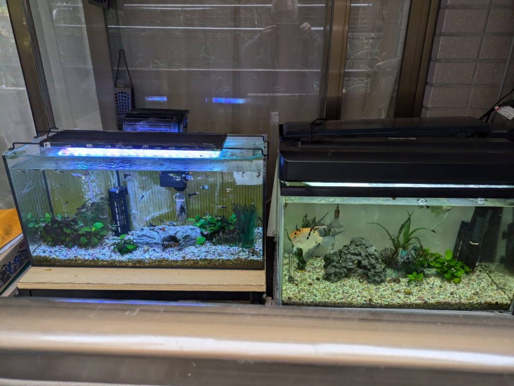 今年最後の投稿です。